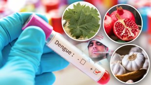 These things will be beneficial in increasing platelets in dengue