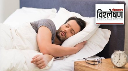 why we sleep