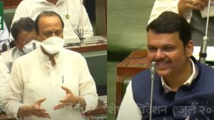 ajit pawar devendra fadnavis