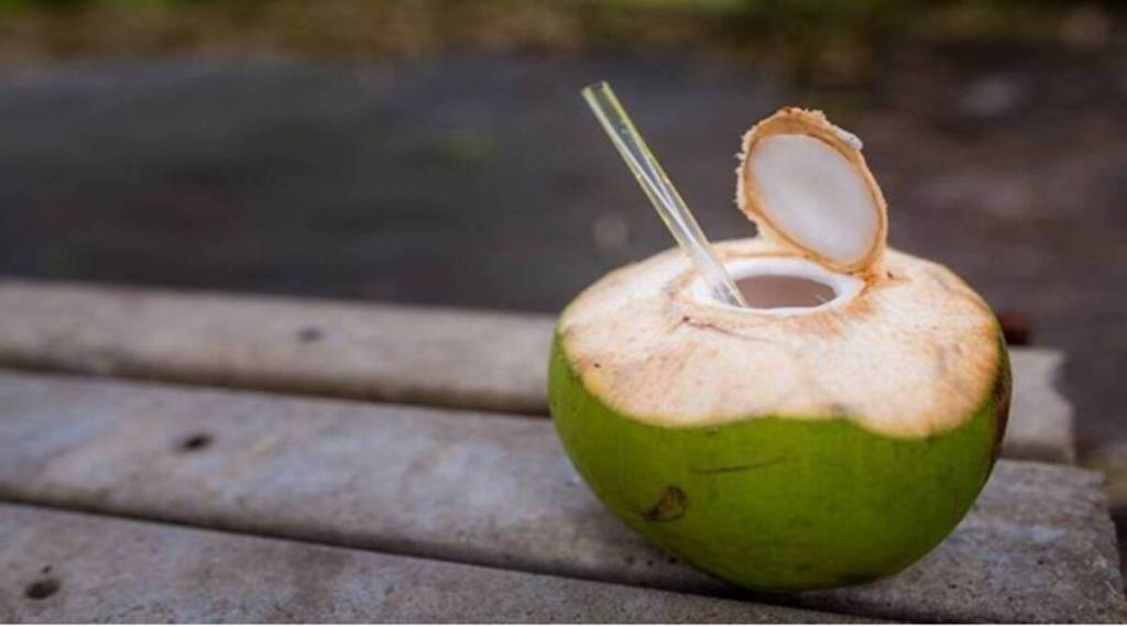 coconut-paani-file