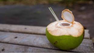 coconut-paani-file