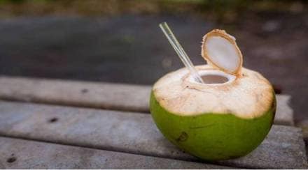 coconut-paani-file