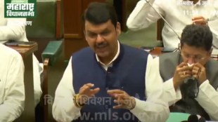 devendra fadnavis on CM Shinde