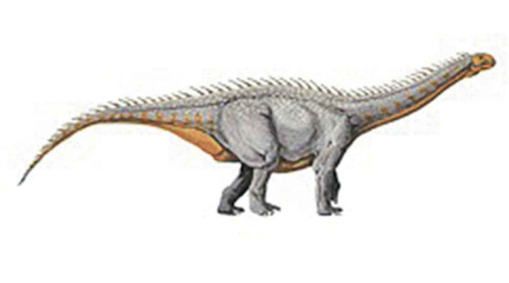 dinosaur