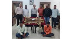 कोल्हापूर : दोघा व्यक्तींकडून सहा लाखाचे बिबट्याचे कातडे जप्त