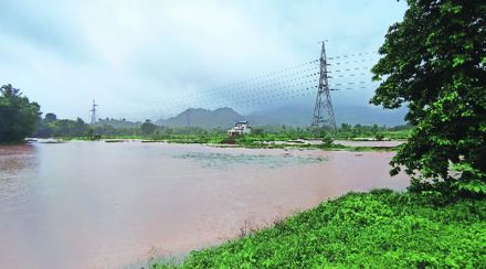 जिल्ह्यात भातशेतीची नुकसानी नाही ; कृषी विभागाचा दावा