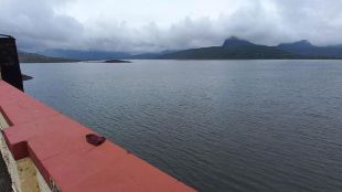 pavana dam