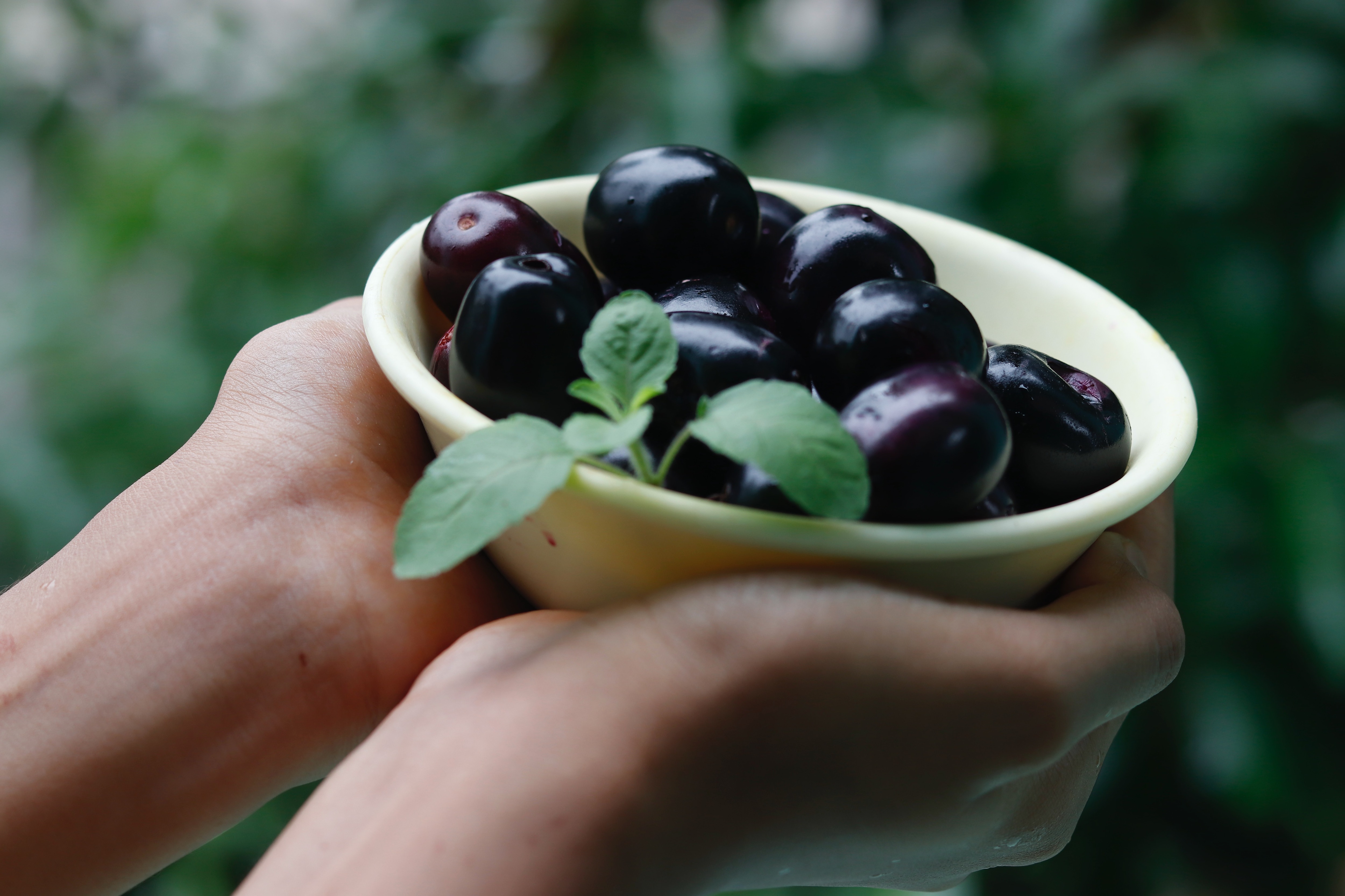 food for children mental growth