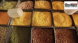 Rains hit pulses production