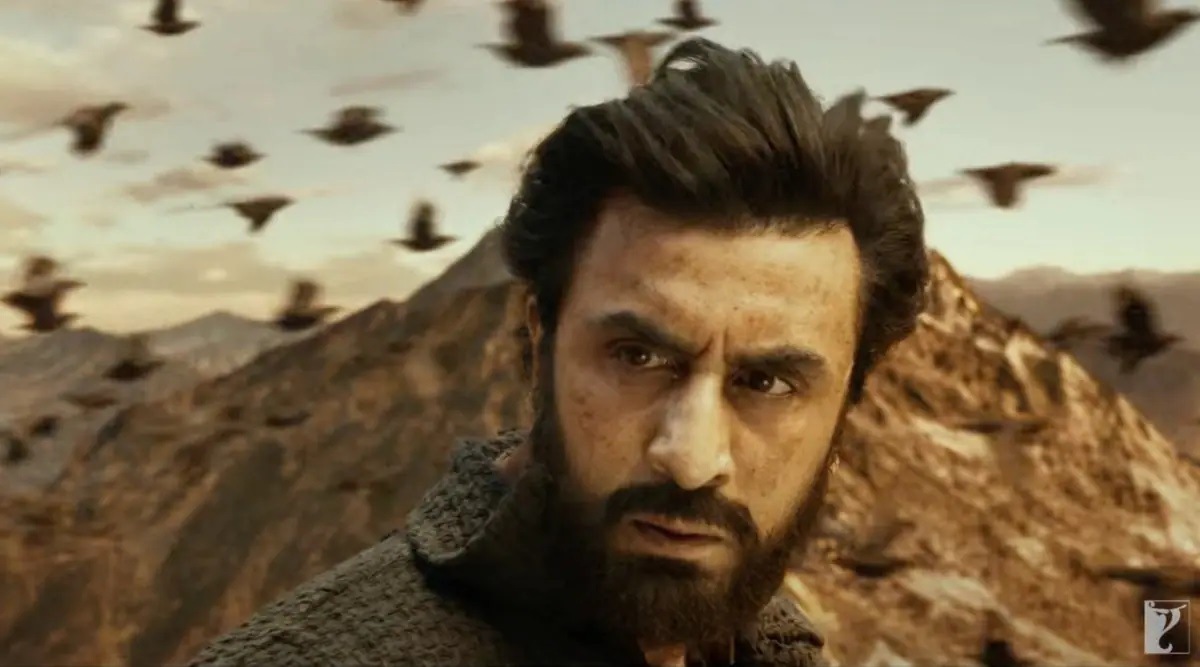 box office collection Shamshera