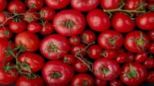 benefits of tomato