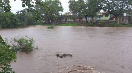 yavatmal rain