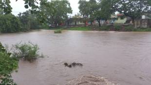 yavatmal rain