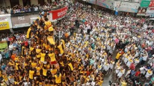 dahihandi
