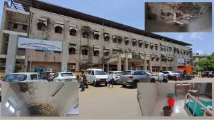 Alibug hospital