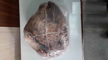whale vomit