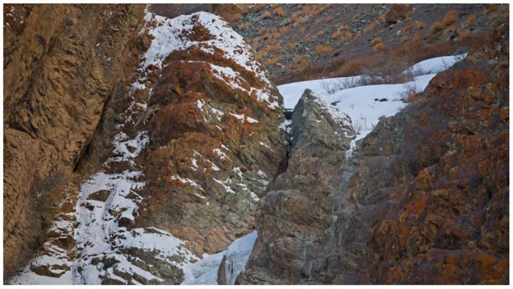 Can you spot the leopard and calf hidden in the photo?
