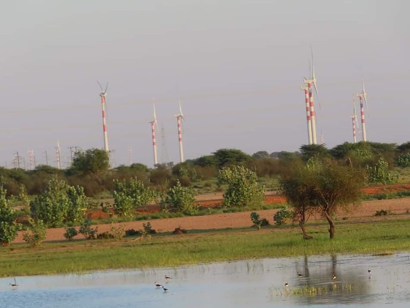 Ias tina dabi shared jaisalmer photos