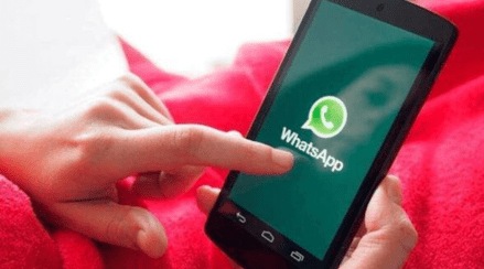 Must Have Whatsapp Number