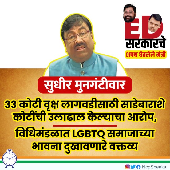 सुधीर मुनगंटीवर यांच्यावर निशाणा साधताना राष्ट्रवादीने त्यांच्या ३३ कोटी वृक्षलागवडीच्या महत्त्वाकांक्षी प्रकल्पाला लक्ष्य केलं. तसेच त्यात १२५० कोटी रुपयांच्या उलाढालीचा आरोप केला.