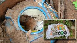 गडचिरोली : नक्षलींना हादरा, मौजा हेळसा जंगल परिसरातून दारूगोळा व स्फोटके जप्त