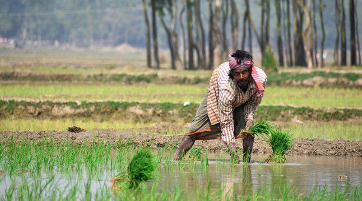 तुमचे खाते पीएनबीमध्ये असल्यास, कोणत्याही परिस्थितीत ३१ ऑगस्टपर्यंत तुम्हाला eKYC पूर्ण करावे लागले. बँकेकडून स्पष्टपणे सांगण्यात आले आहे की जर eKYC मुदतीत पूर्ण झाले नाही, तर खाते होल्ड केले जाऊ शकते.