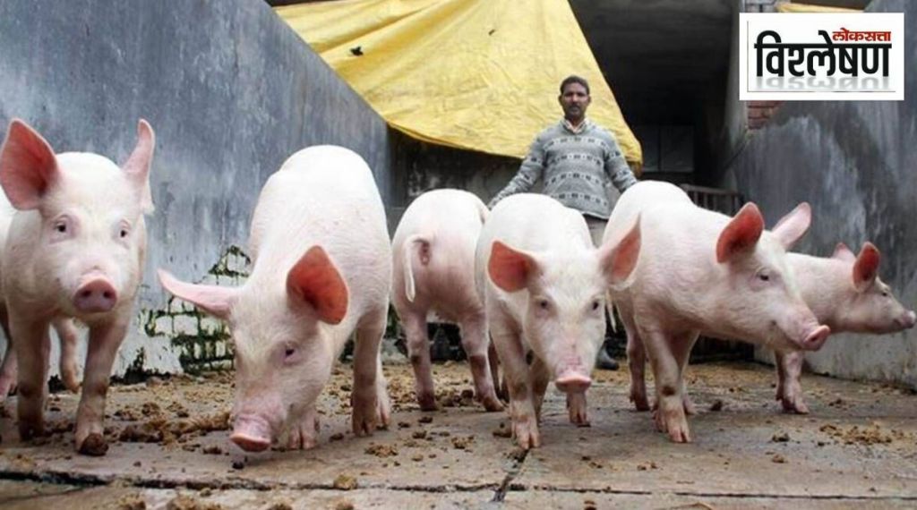 Pig Body Parts Revival