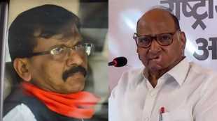 Sanjay Raut Sharad Pawar