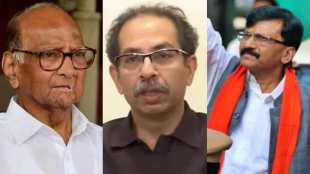 Sharad Pawar Uddhav Thackeray Sanjay Raut
