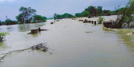 Vidarbha-rains