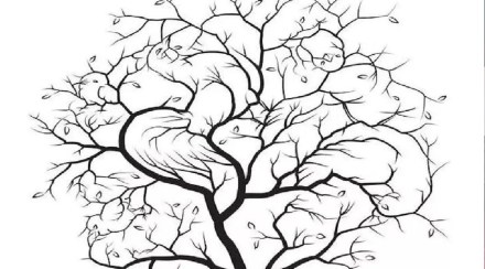 Can you spot the 5 birds hidden in this picture?