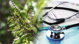 Consuming basil leaves has many health benefits