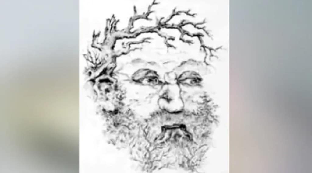 Optical Illusion Optical Illusion