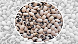 benefits of chowli in diet