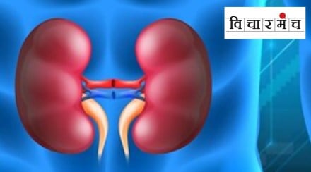 Kidney racket and law Vicharmancha