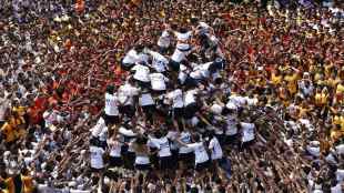 dahihandi