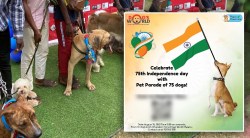 स्वातंत्र्य दिनी ठाण्यातून निघणार पाळीव प्राण्यांची परेड