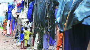 dv rohingya people