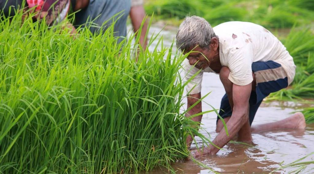 cm eknath shinde emotional letter to farmers