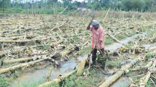 financial aid to farmers hit by floods