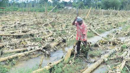 financial aid to farmers hit by floods