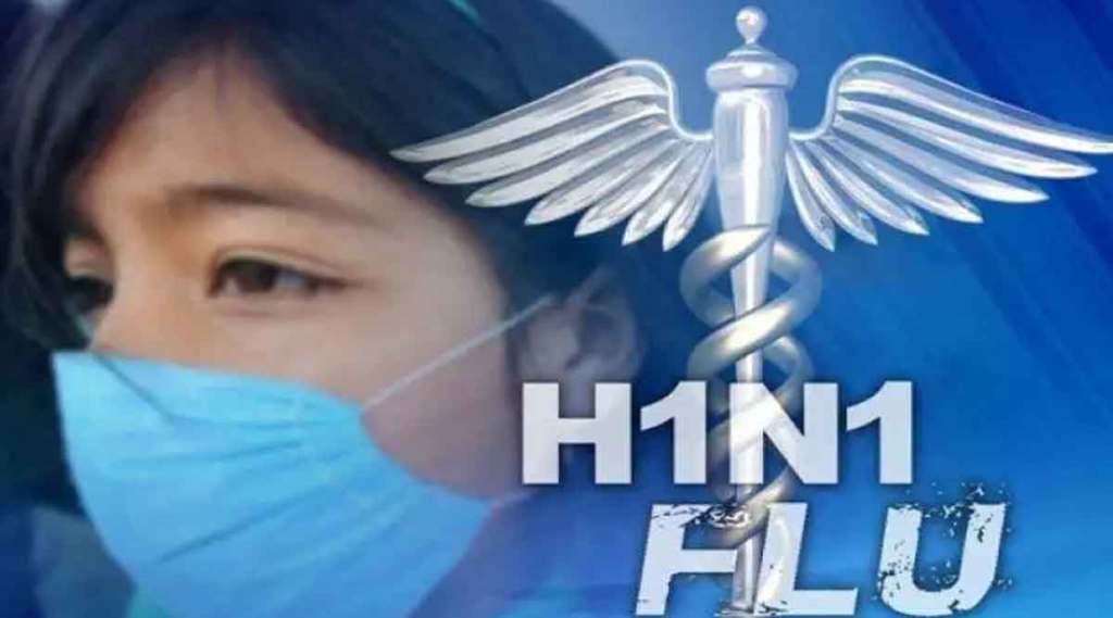 swine flue
