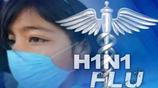 swine flue