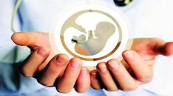 ‘जियो पारशी’ला ‘आयव्हीएफ’ लाभदायक; ३७६ पैकी २९० बालकांचा जन्म कृत्रिम गर्भधारणा तंत्रज्ञानाच्या मदतीने