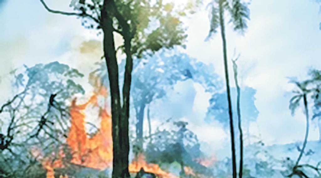 wildfires