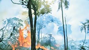 wildfires