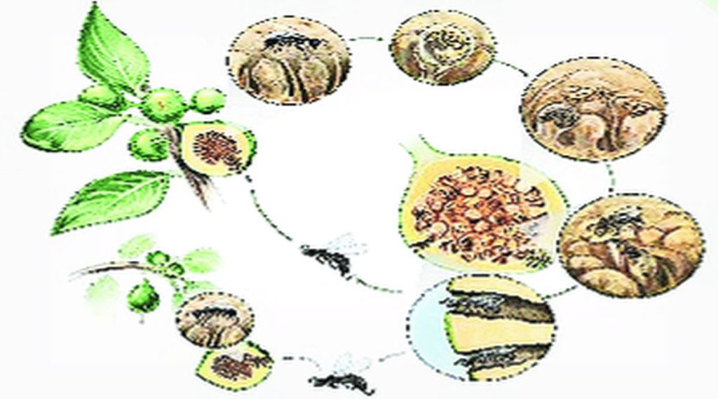 lekh kutuhal