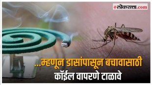 Mosquito repellent coil