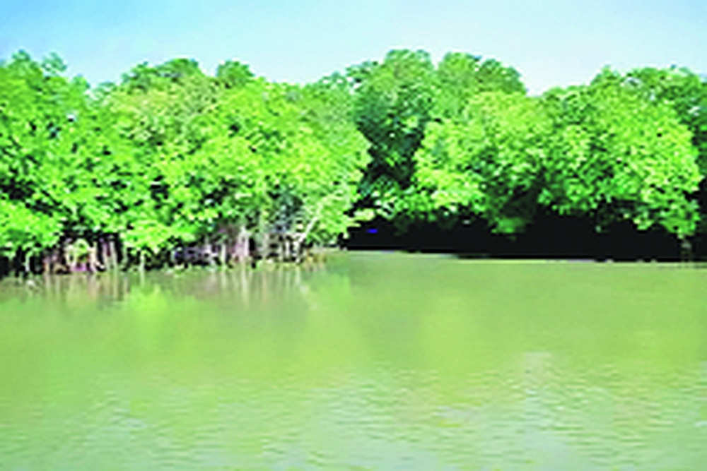 Ramsar Environment Forests Central environment Ministry Declaration ysh 95