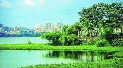 पवई तलाव संवर्धन : मगरींनी हल्ला केल्यास परिस्थिती हाताळण्यासाठी कर्मचाऱ्यांना प्रशिक्षण देणार